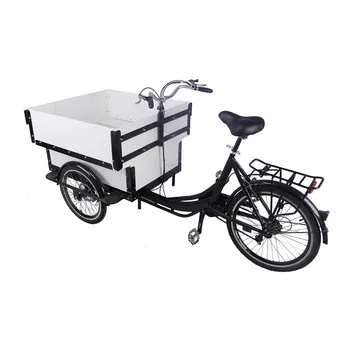 As tendências de Estilo Eléctrica Móvel de Carga de Bicicleta de Cor Branca Triciclos Motorizados para Adultos, Família, crianças, Crianças Scooter Personalizável