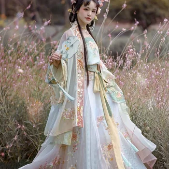 Primavera Chinês Tradicional Vestido De Penglai Vestido Veste Saia De Atravessado Hanfu Suspensórios De Fadas Bordado De Organz Flores Cosplay Traje Definido