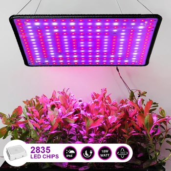 LED Cresce a Luz de Iluminação Tenda de 225 Phytolamp Plantas 2000W Cresce a Luz Hidropônico Kits de Crescimento da Lâmpada Planta de Vegetais Flor Interior