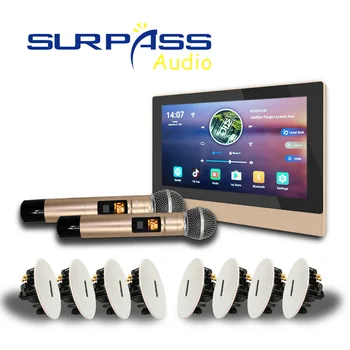 Bluetooth, wi-Fi Parede Amplificador Android Smart Home Áudio do Sistema do PA do Teto do Altofalante 2 Zonas sem Fio de Microfone Estéreo de Música Combos